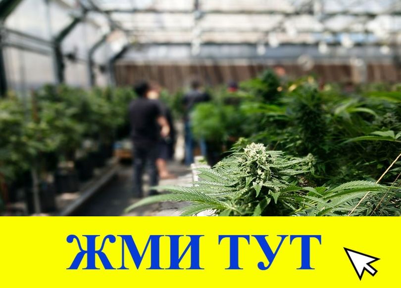 Купить наркотики в Верхнем Тагиле